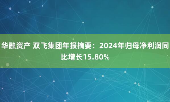 华融资产 双飞集团年报摘要：2024年归母净利润同比增长15.80%