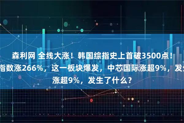森利网 全线大涨！韩国综指史上首破3500点！恒生科技指数涨266%，这一板块爆发，中芯国际涨超9%，发生了什么？
